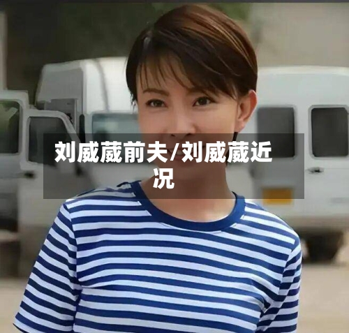 刘威葳前夫/刘威葳近况-第2张图片