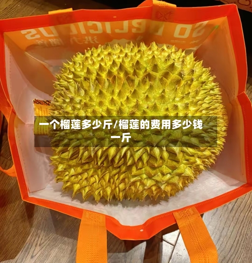 一个榴莲多少斤/榴莲的费用多少钱一斤-第1张图片