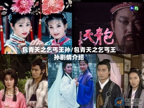 包青天之乞丐王孙/包青天之乞丐王孙剧情介绍-第2张图片