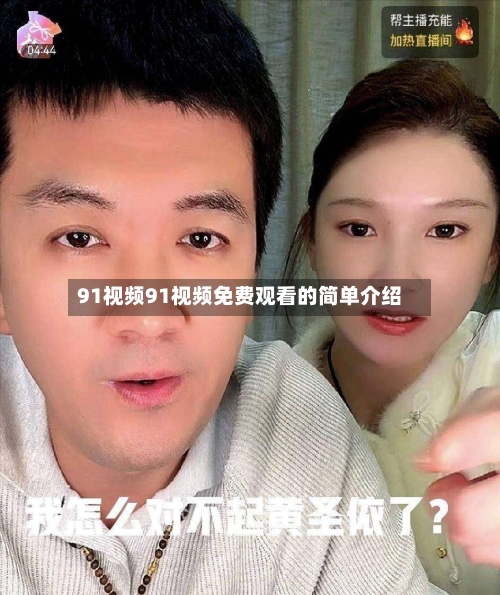 91视频91视频免费观看的简单介绍-第2张图片