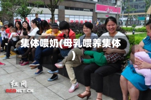 集体喂奶(母乳喂养集体)-第2张图片
