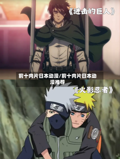 前十肉片日本动漫/前十肉片日本动漫推荐-第2张图片