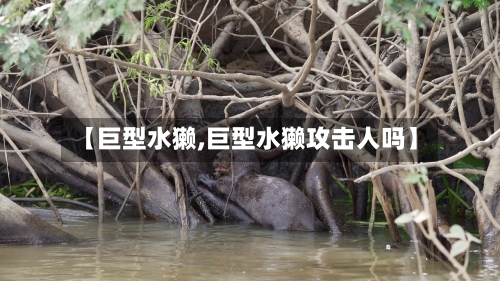 【巨型水獭,巨型水獭攻击人吗】-第2张图片