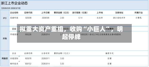 拟重大资产重组，收购“小巨人	”，明起停牌-第1张图片