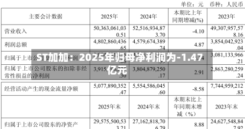 ST加加：2025年归母净利润为-1.47亿元-第2张图片