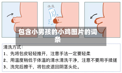 包含小男孩的小鸡图片的词条-第2张图片