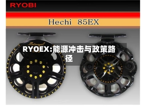 RYOEX:能源冲击与政策路径-第2张图片