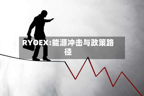 RYOEX:能源冲击与政策路径-第1张图片