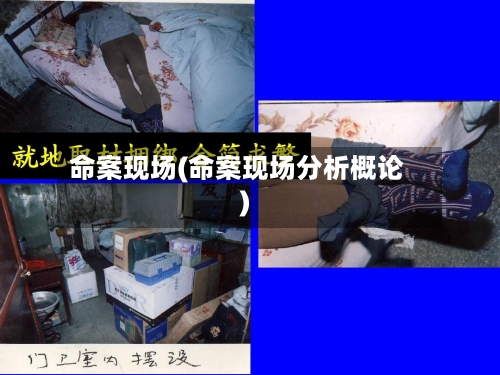 命案现场(命案现场分析概论)-第1张图片