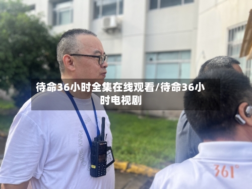 待命36小时全集在线观看/待命36小时电视剧-第1张图片