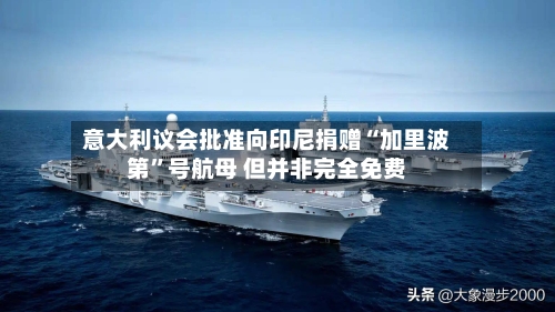 意大利议会批准向印尼捐赠“加里波第	”号航母 但并非完全免费-第2张图片