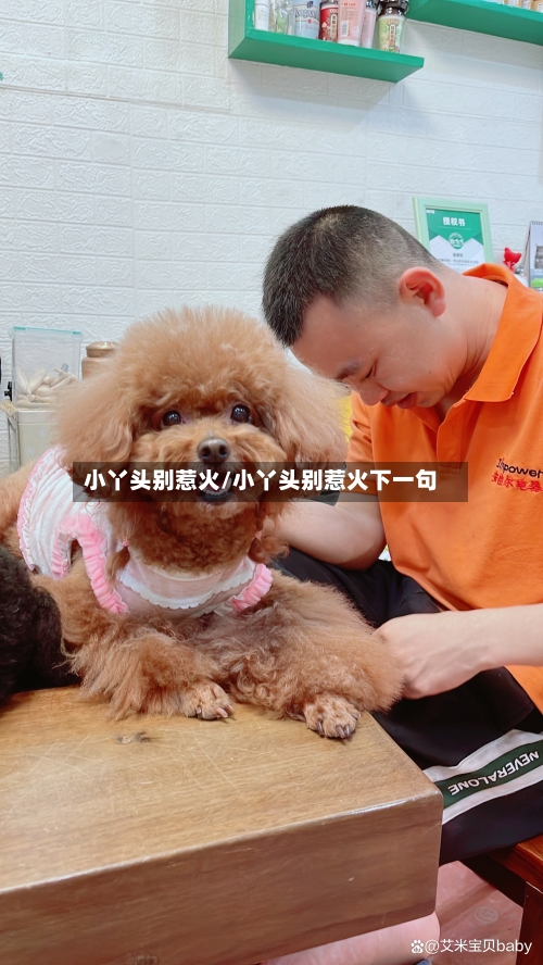 小丫头别惹火/小丫头别惹火下一句-第1张图片