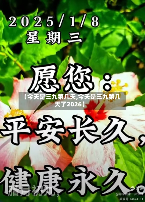 【今天是三九第几天,今天是三九第几天了2026】-第1张图片
