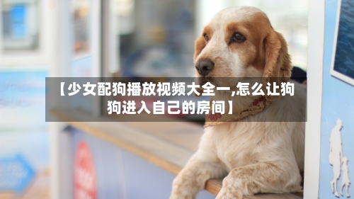 【少女配狗播放视频大全一,怎么让狗狗进入自己的房间】-第1张图片