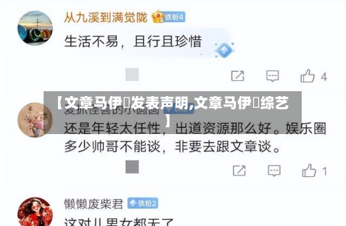 【文章马伊琍发表声明,文章马伊琍综艺】-第1张图片