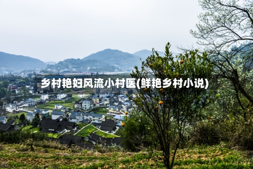 乡村艳妇风流小村医(鲜艳乡村小说)-第1张图片