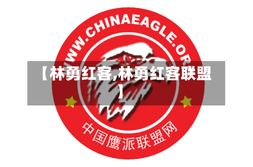 【林勇红客,林勇红客联盟】-第2张图片