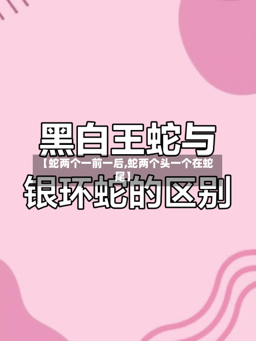 【蛇两个一前一后,蛇两个头一个在蛇尾】-第2张图片