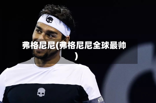 弗格尼尼(弗格尼尼全球最帅)-第2张图片