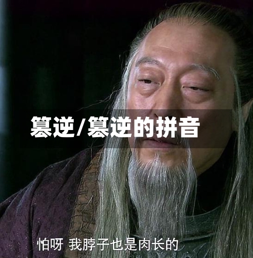 篡逆/篡逆的拼音-第2张图片