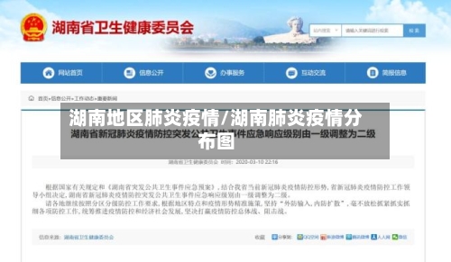 湖南地区肺炎疫情/湖南肺炎疫情分布图-第2张图片