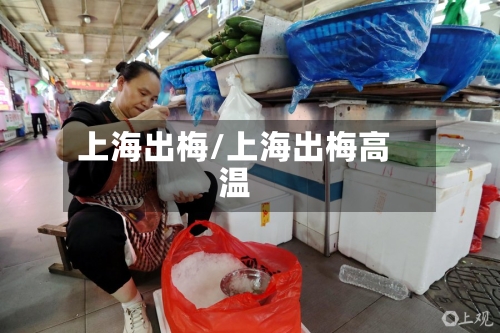 上海出梅/上海出梅高温-第2张图片