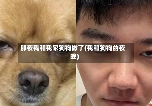 那夜我和我家狗狗做了(我和狗狗的夜晚)-第2张图片