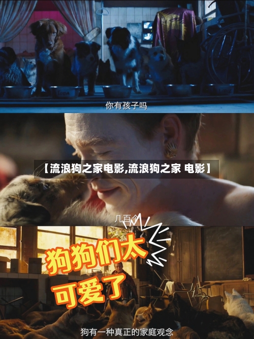 【流浪狗之家电影,流浪狗之家 电影】-第1张图片