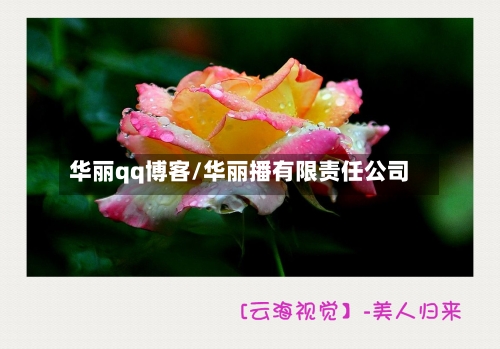 华丽qq博客/华丽播有限责任公司-第2张图片