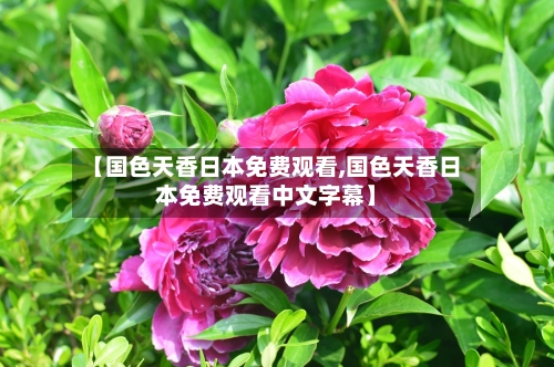 【国色天香日本免费观看,国色天香日本免费观看中文字幕】-第1张图片