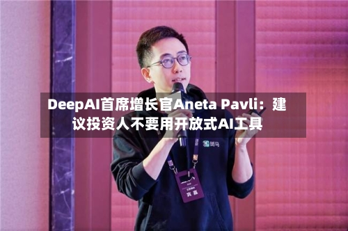 DeepAI首席增长官Aneta Pavli：建议投资人不要用开放式AI工具-第3张图片