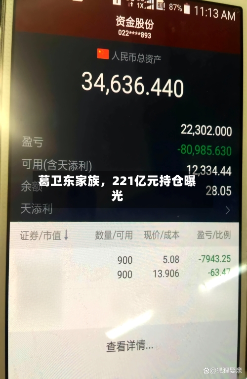 葛卫东家族，221亿元持仓曝光-第1张图片