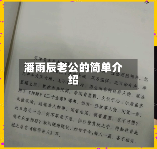 潘雨辰老公的简单介绍-第1张图片