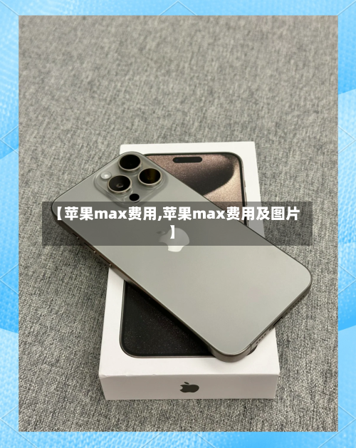 【苹果max费用,苹果max费用及图片】-第2张图片