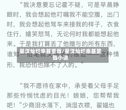 星汉灿烂幸甚至哉/星汉灿烂幸甚至哉小说-第2张图片