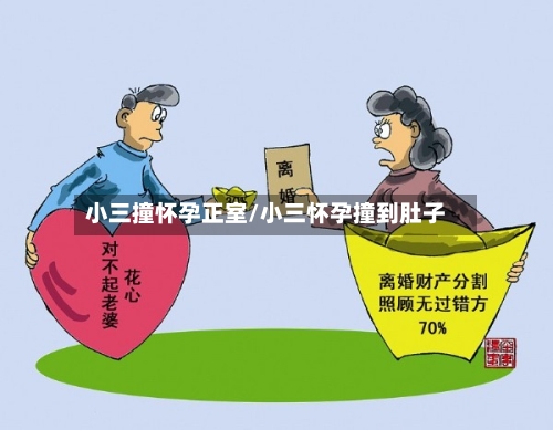 小三撞怀孕正室/小三怀孕撞到肚子-第2张图片