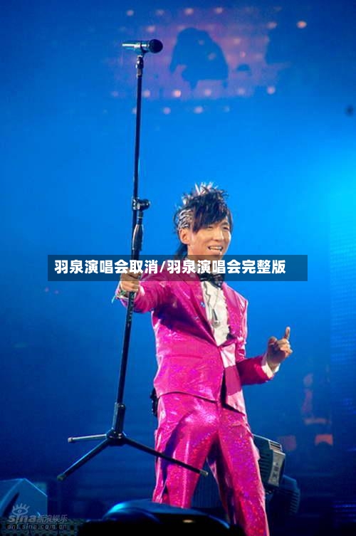 羽泉演唱会取消/羽泉演唱会完整版-第1张图片