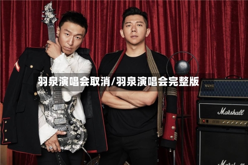 羽泉演唱会取消/羽泉演唱会完整版-第2张图片