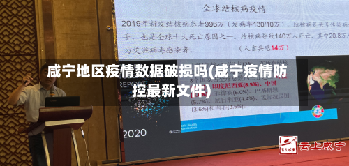 咸宁地区疫情数据破损吗(咸宁疫情防控最新文件)-第2张图片