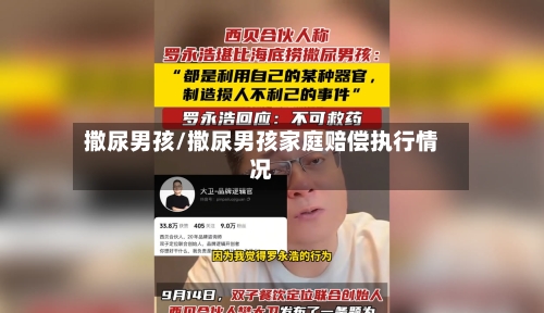 撒尿男孩/撒尿男孩家庭赔偿执行情况-第2张图片
