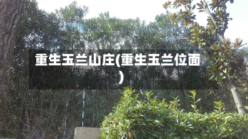重生玉兰山庄(重生玉兰位面)-第2张图片