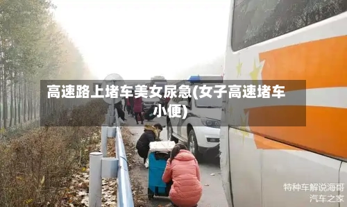 高速路上堵车美女尿急(女子高速堵车小便)-第1张图片