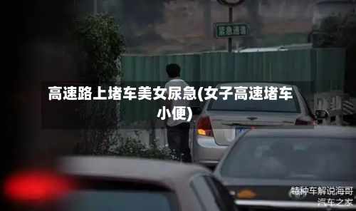 高速路上堵车美女尿急(女子高速堵车小便)-第3张图片