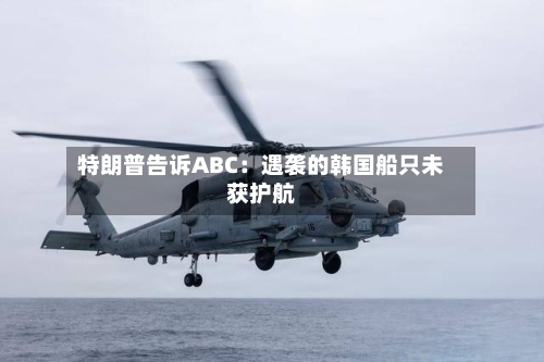 特朗普告诉ABC：遇袭的韩国船只未获护航-第1张图片