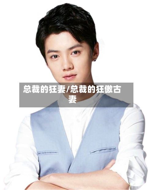 总裁的狂妻/总裁的狂傲古妻-第2张图片