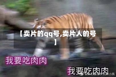 【卖片的qq号,卖片人的号】-第1张图片