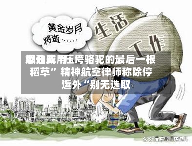 燃油费用飙升成“压垮骆驼的最后一根稻草” 精神航空律师称除停运外“别无选取”-第1张图片