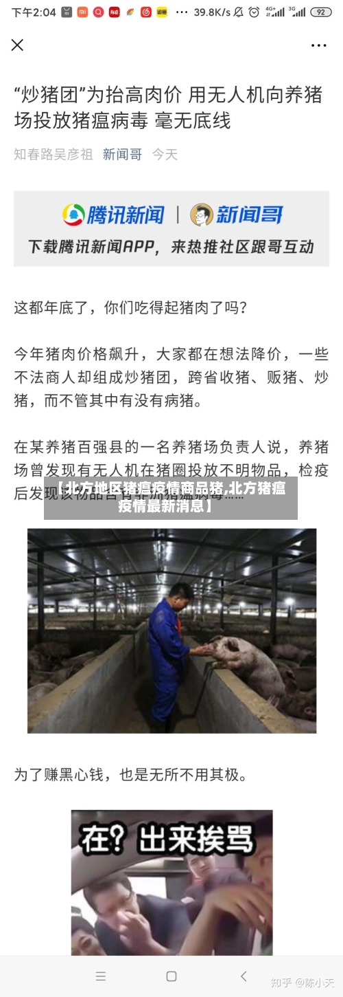 【北方地区猪瘟疫情商品猪,北方猪瘟疫情最新消息】-第1张图片