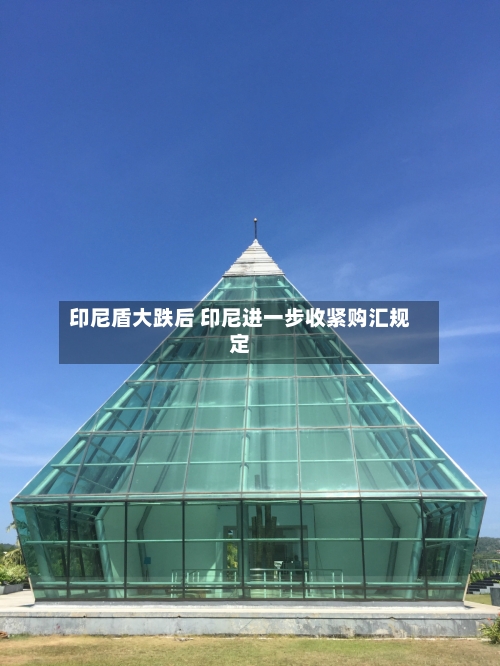 印尼盾大跌后 印尼进一步收紧购汇规定-第3张图片