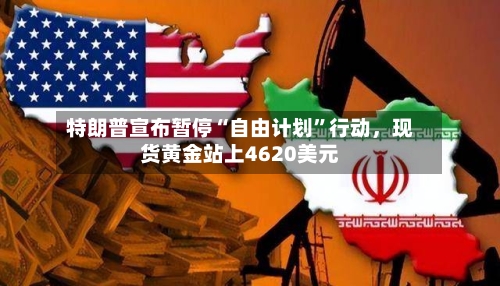 特朗普宣布暂停“自由计划	”行动，现货黄金站上4620美元-第3张图片